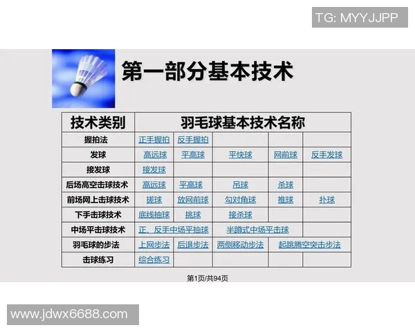 南京羽毛球队在锦标赛中的默契配合与战术分析探讨