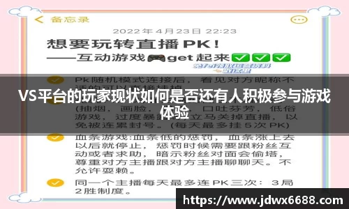 VS平台的玩家现状如何是否还有人积极参与游戏体验