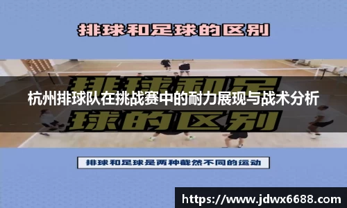 杭州排球队在挑战赛中的耐力展现与战术分析